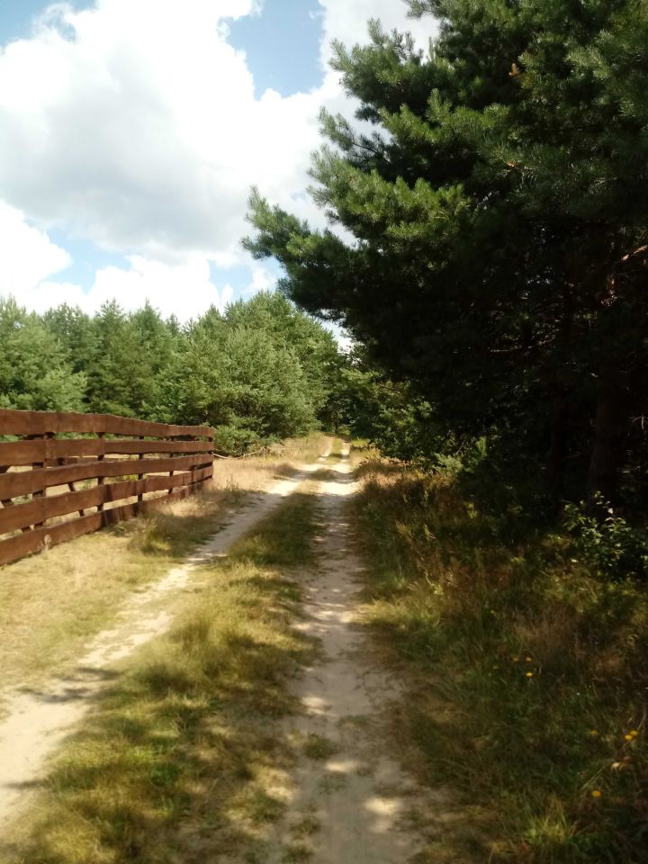 Działka rekreacyjna Ostrykół Dworski. Zdjęcie 2