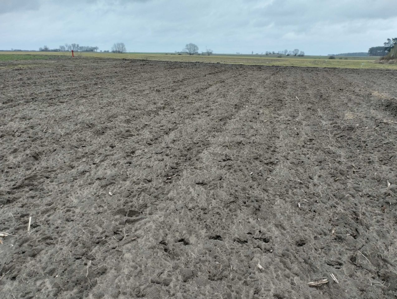 Działka Psary. Zdjęcie 6