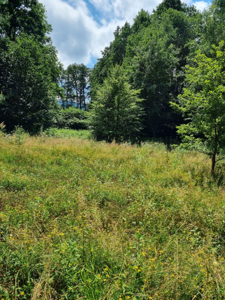 Działka budowlana Bielsko-Biała, Wawelska/Deszczowa. Zdjęcie 14