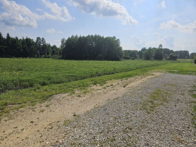 Działka budowlana Zadębie. Zdjęcie 2