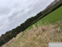 Działka Łowinia. Zdjęcie 2