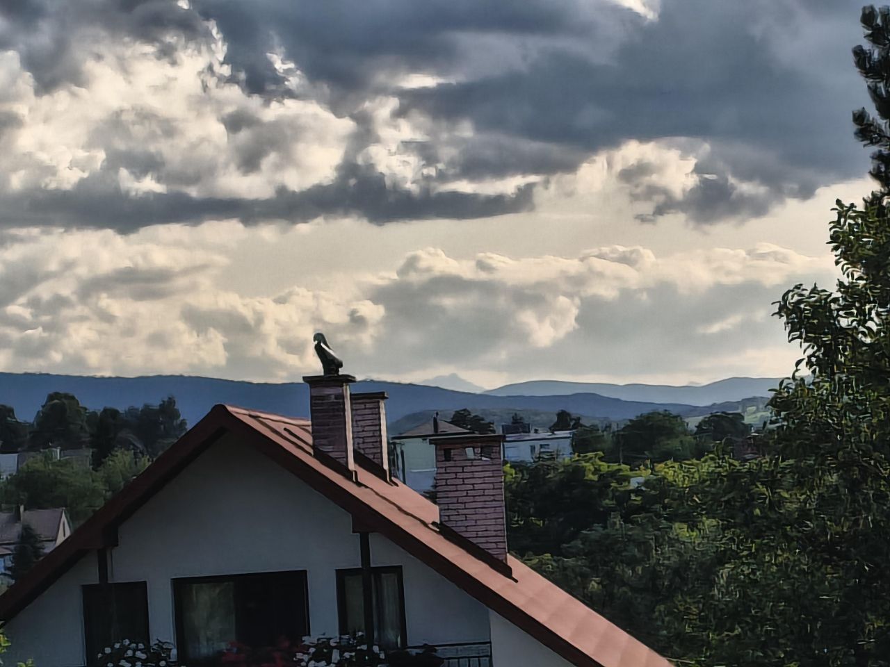 Działka budowlana Szalowa. Zdjęcie 15