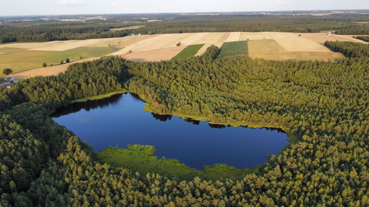 Działka inwestycyjna Lidzbark. Zdjęcie 4