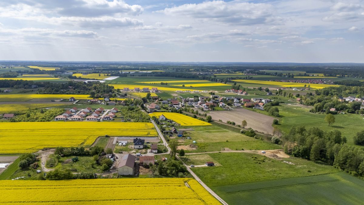 Działka inwestycyjna Poniatowice. Zdjęcie 4