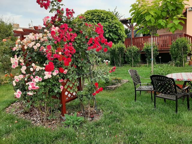 dom wolnostojący, 6 pokoi Śrem Glinki, ul. Jana Ostroroga. Zdjęcie 2