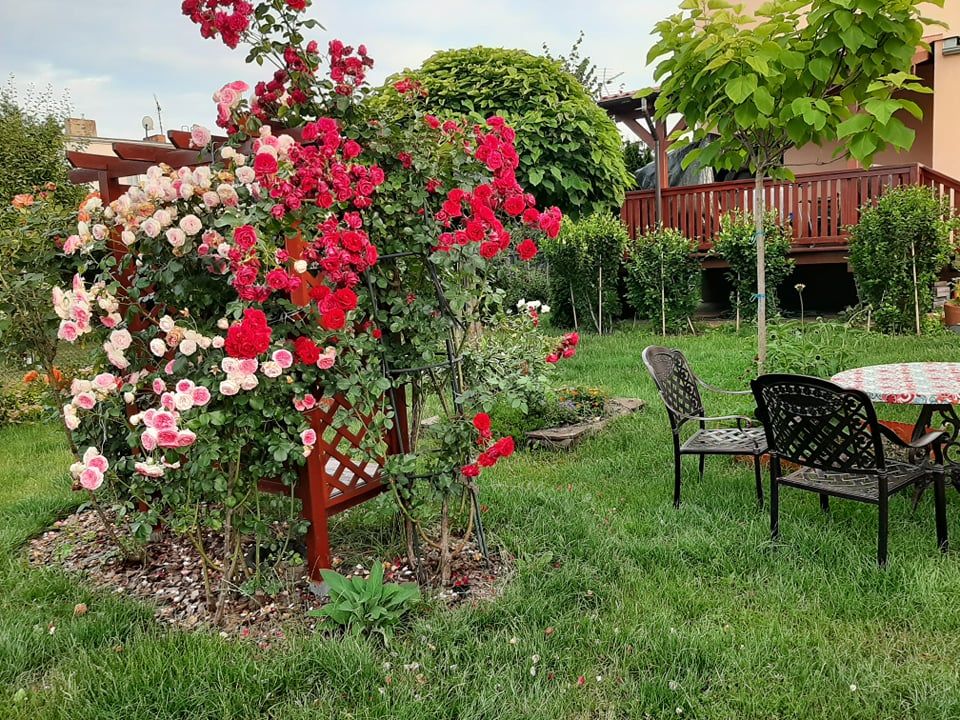 dom wolnostojący, 6 pokoi Śrem Glinki, ul. Jana Ostroroga. Zdjęcie 2