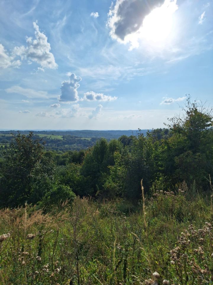 Działka rolna Golcowa. Zdjęcie 3