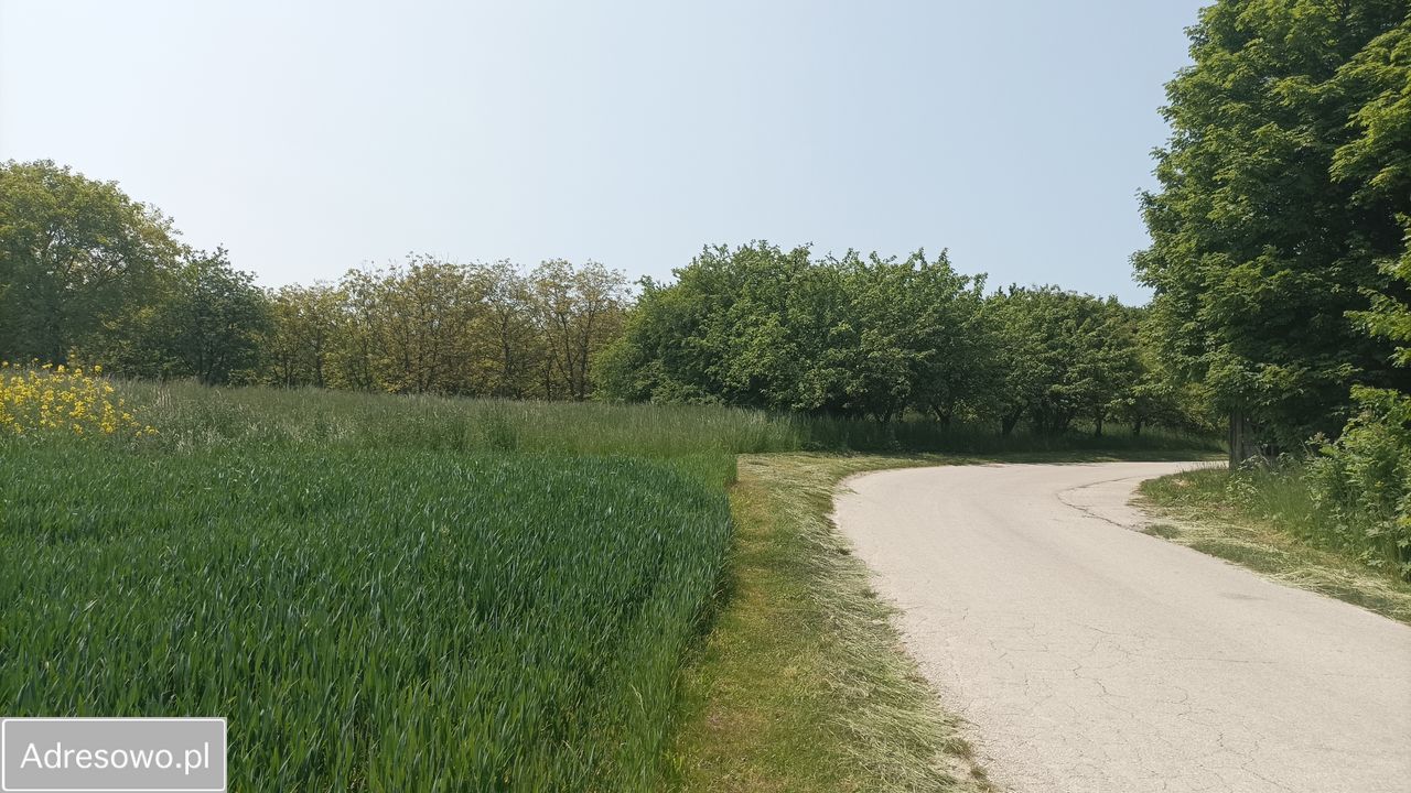 Działka budowlana Góry. Zdjęcie 3