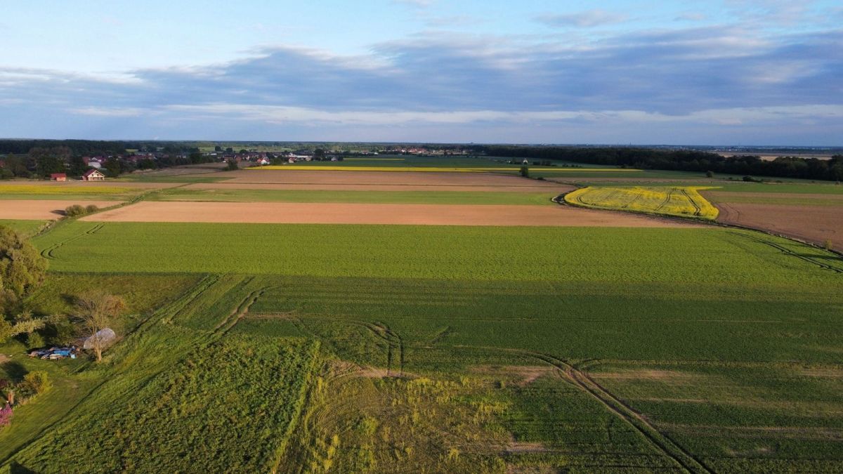 Działka budowlana Siedlce. Zdjęcie 6
