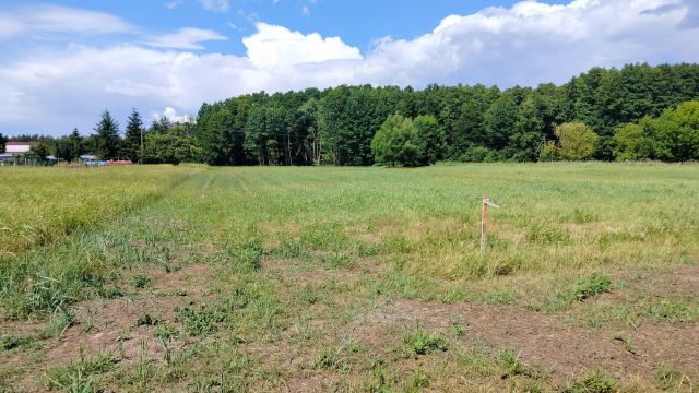 Działka budowlana Piasek. Zdjęcie 1