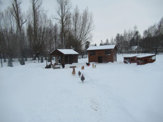 dom wolnostojący, 3 pokoje Drewnica, ul. Wierzbowa. Zdjęcie 6