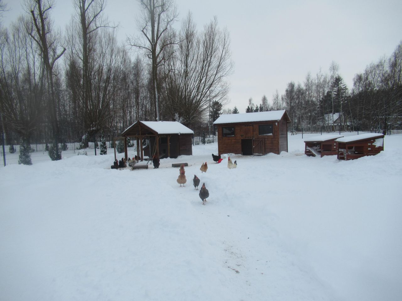 dom wolnostojący, 3 pokoje Drewnica, ul. Wierzbowa. Zdjęcie 6