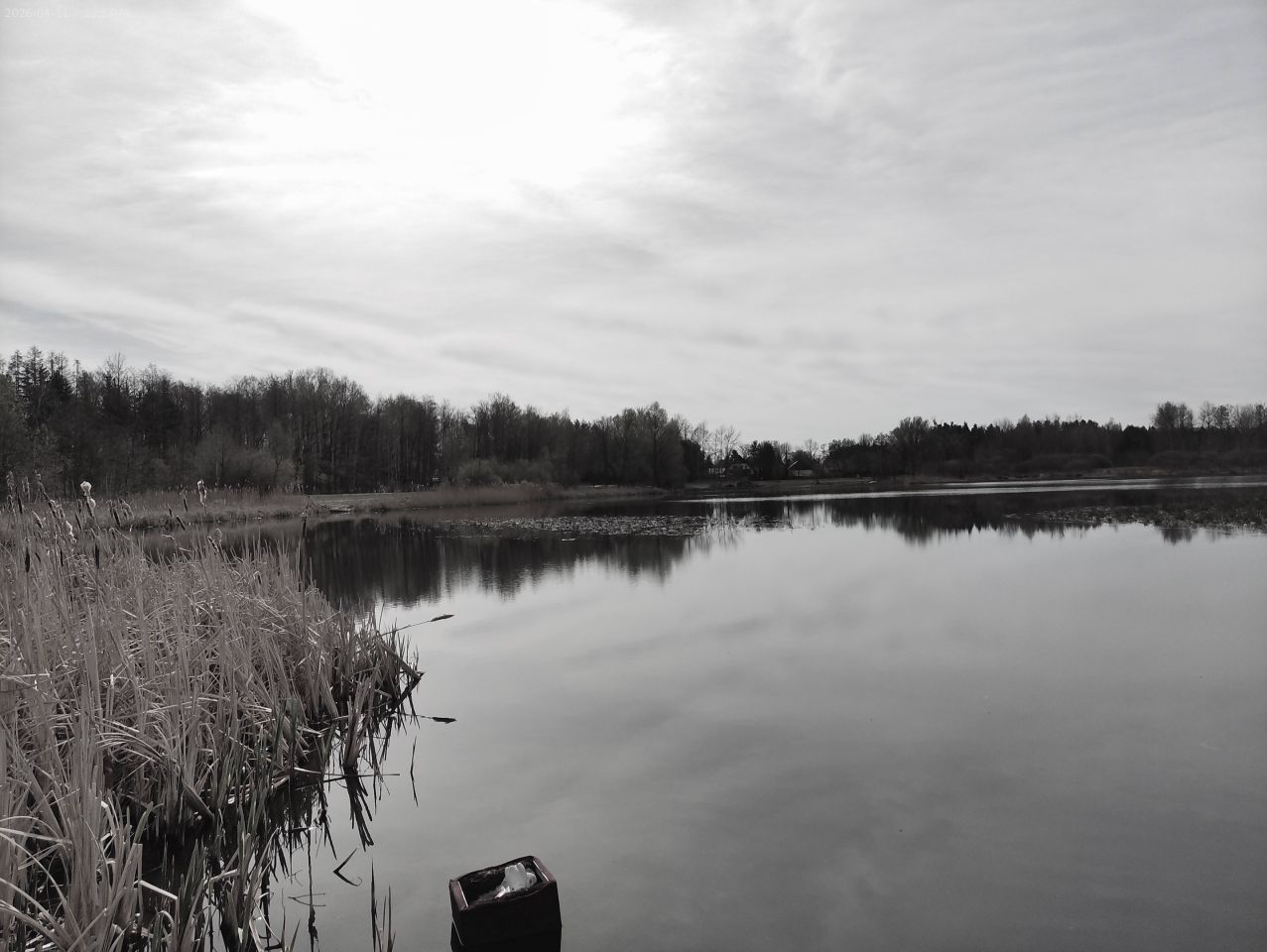 Działka budowlana Marynino, Sosnowa. Zdjęcie 54