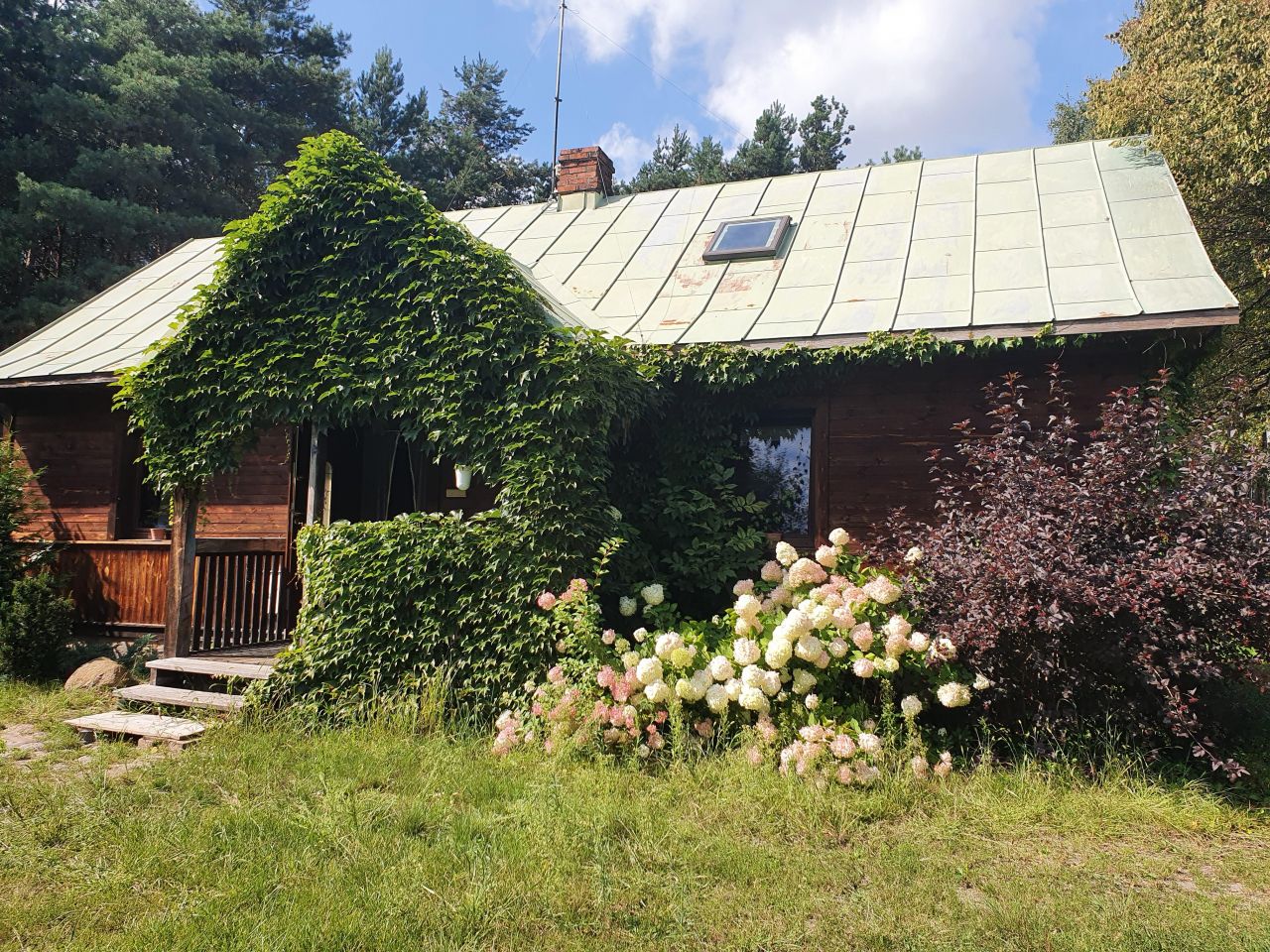 Działka siedliskowa Wola Władysławowska. Zdjęcie 9