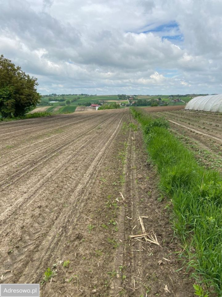 Działka rolno-budowlana Ostrów. Zdjęcie 2