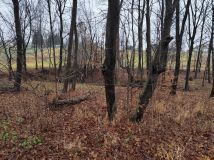 Działka leśna Lipnica Górna. Zdjęcie 3