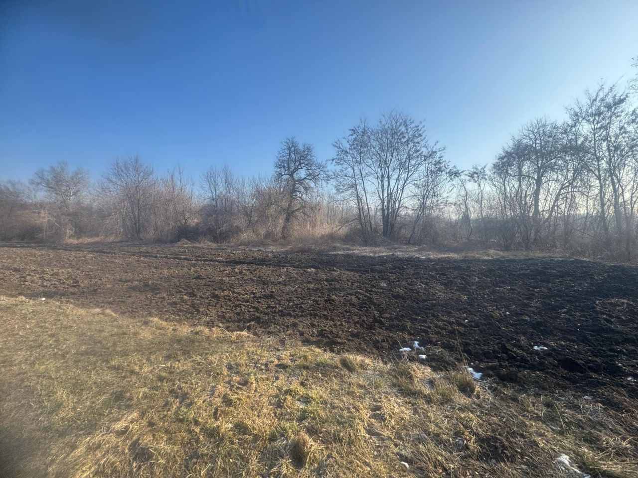 Działka rolno-budowlana Kolosy. Zdjęcie 2