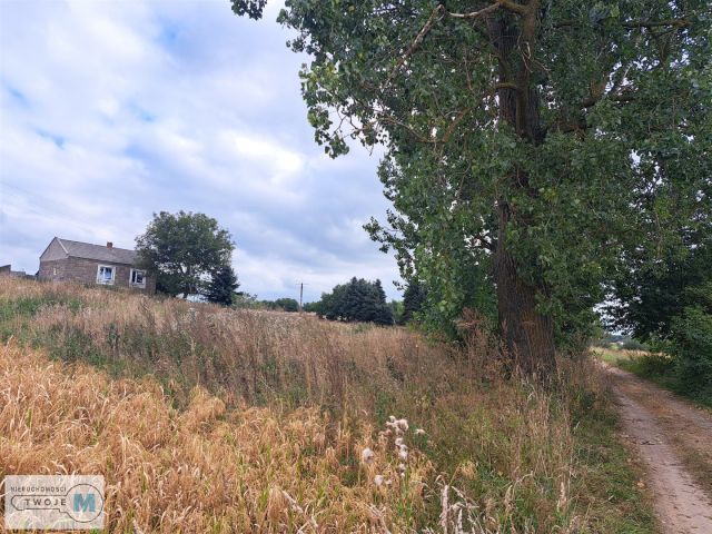 dom wolnostojący, 2 pokoje Ożarów. Zdjęcie 14