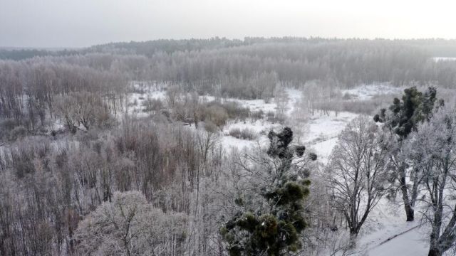 Działka budowlana Harsz. Zdjęcie 9
