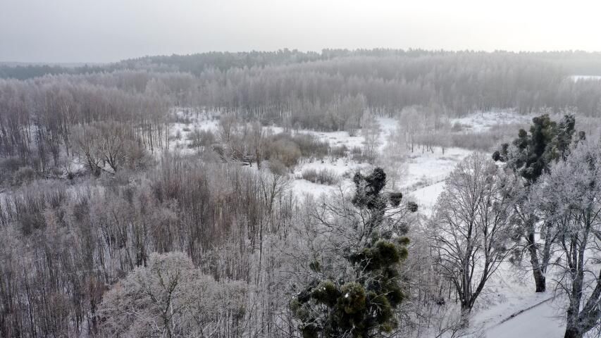 Działka budowlana Harsz. Zdjęcie 9