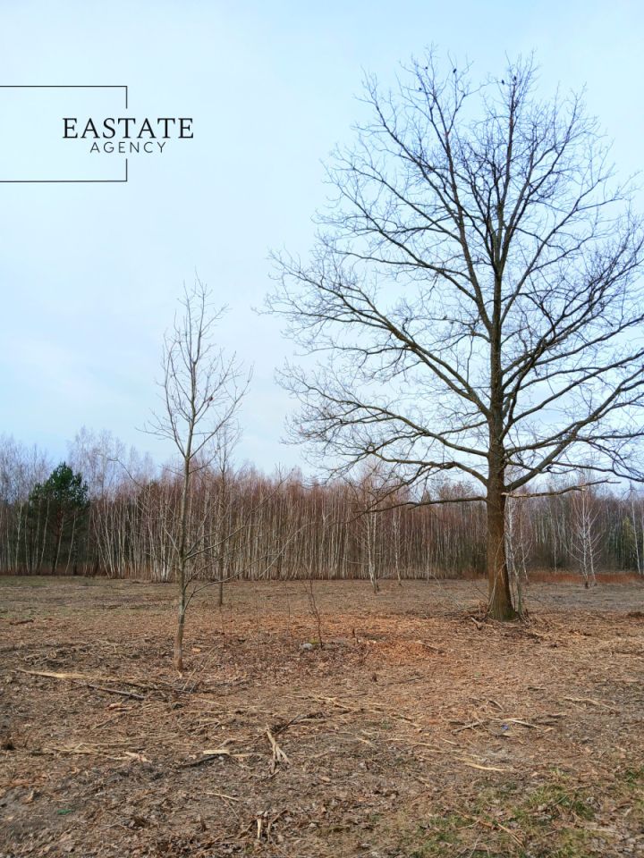 Działka budowlana Koryta, ul. Północna. Zdjęcie 5