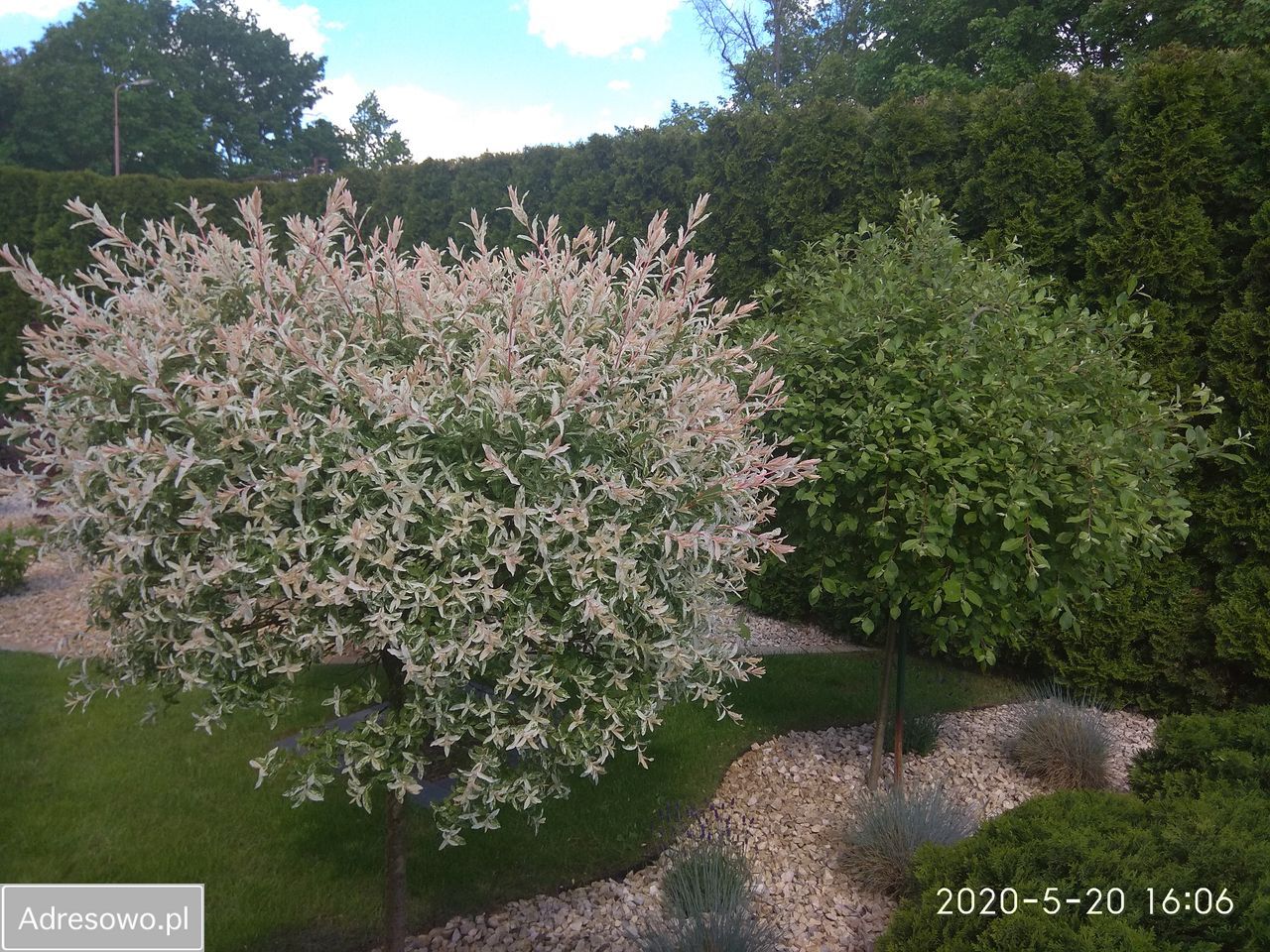 dom wolnostojący, 4 pokoje Księginice. Zdjęcie 15