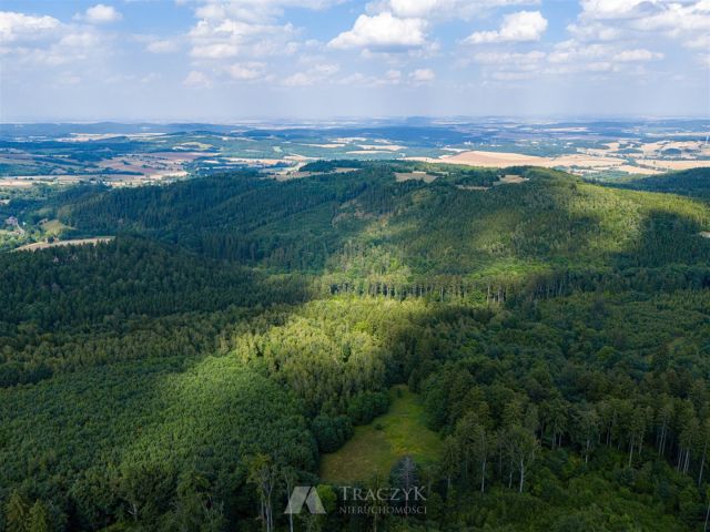 Działka budowlana Pastewnik. Zdjęcie 12