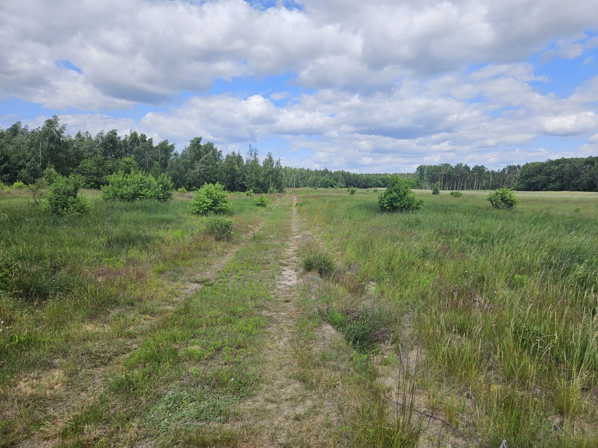 Działka budowlana Stare Wrońska. Zdjęcie 10