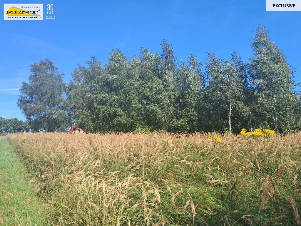 Działka siedliskowa Parlino. Zdjęcie 3