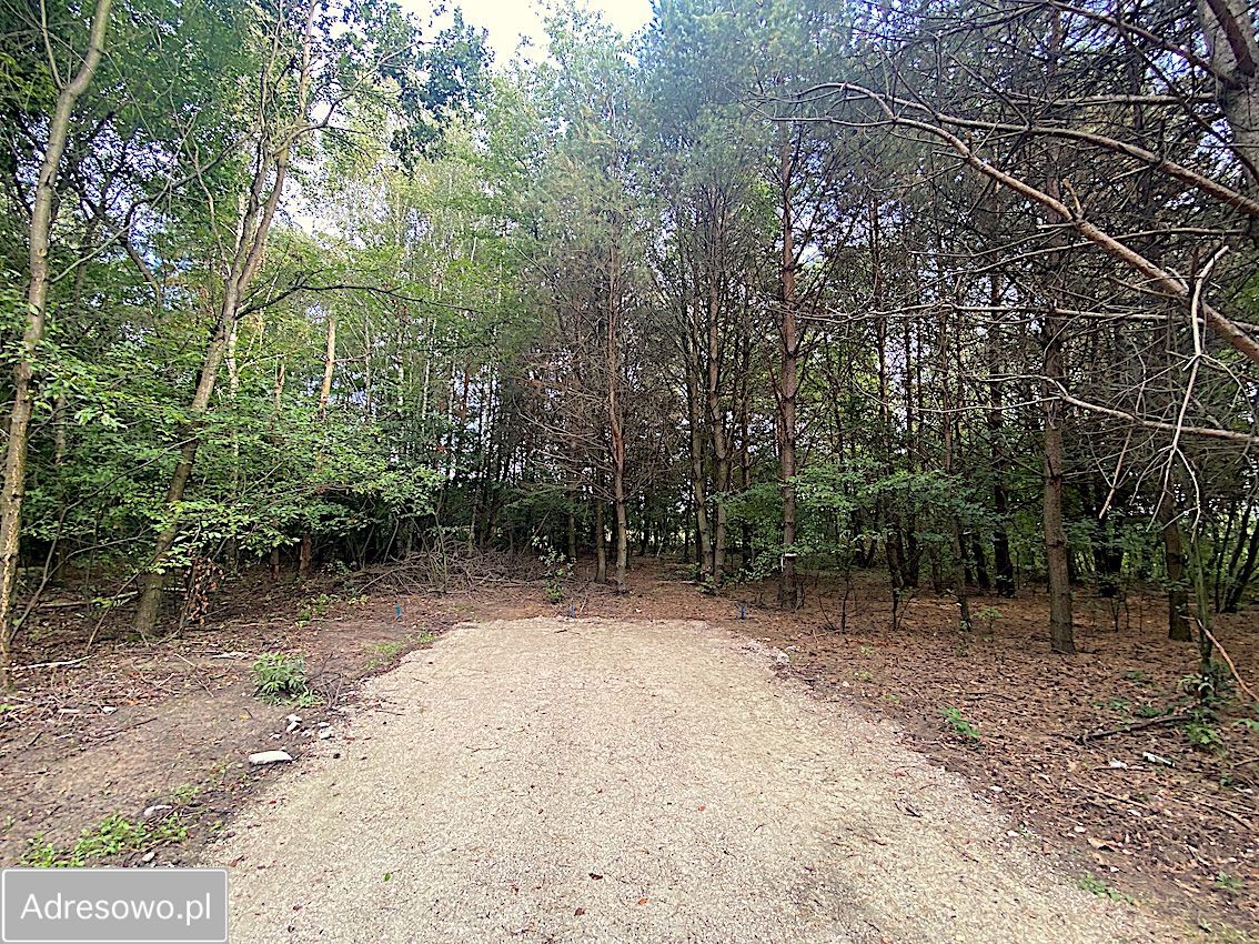 Działka budowlana Tuszyn Tuszynek Poduchowny, ul. Poddębina. Zdjęcie 6