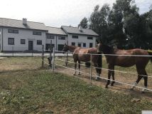 bliźniak Borówiec. Zdjęcie 4