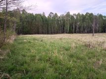 Działka budowlana Gowarzów, Gowarzów. Zdjęcie 1