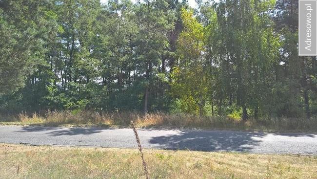 Działka budowlana Łowyń, ul. Nadjeziorna. Zdjęcie 5