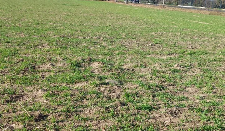 Działka budowlana Kołdrąb