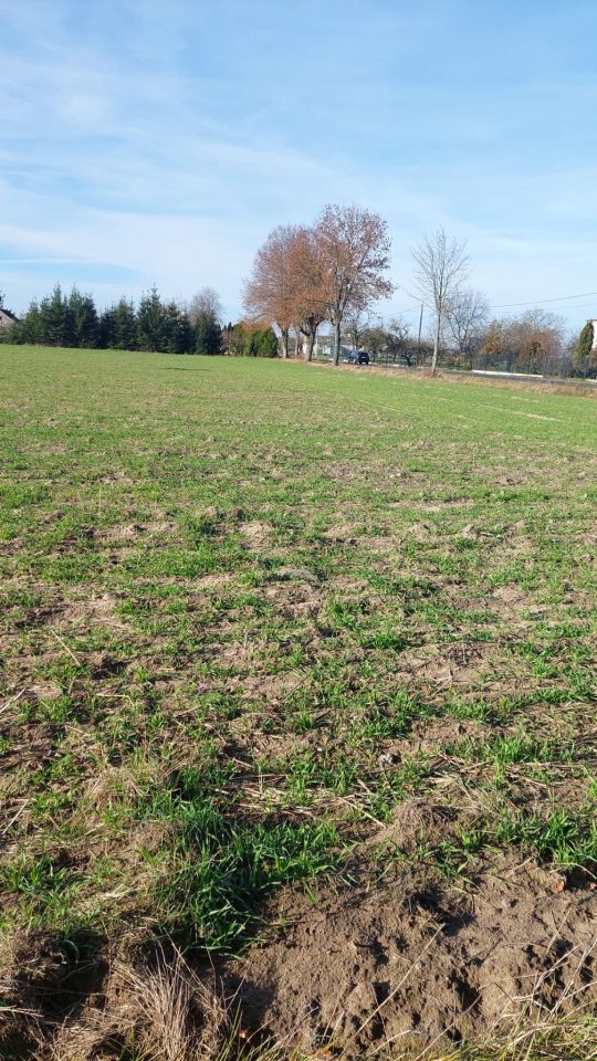 Działka budowlana Kołdrąb