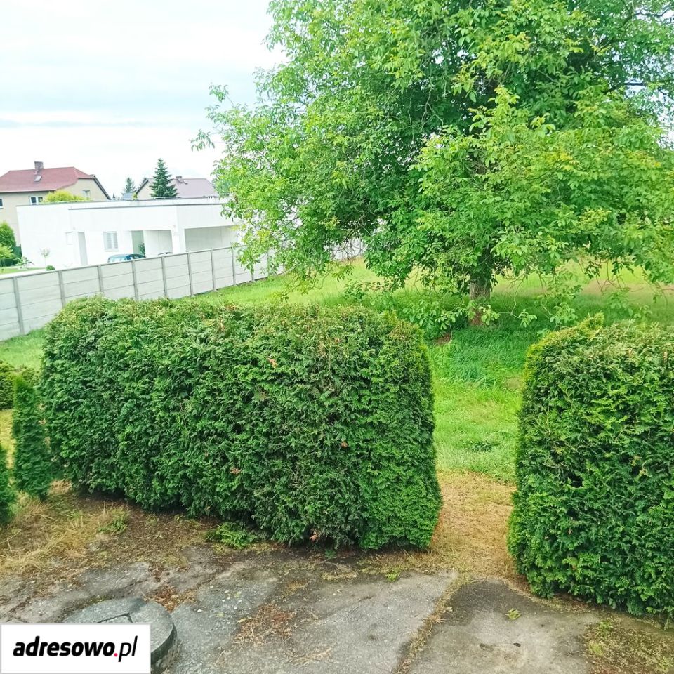 dom wolnostojący, 8 pokoi Godów, ul. Powstańców Śląskich. Zdjęcie 19