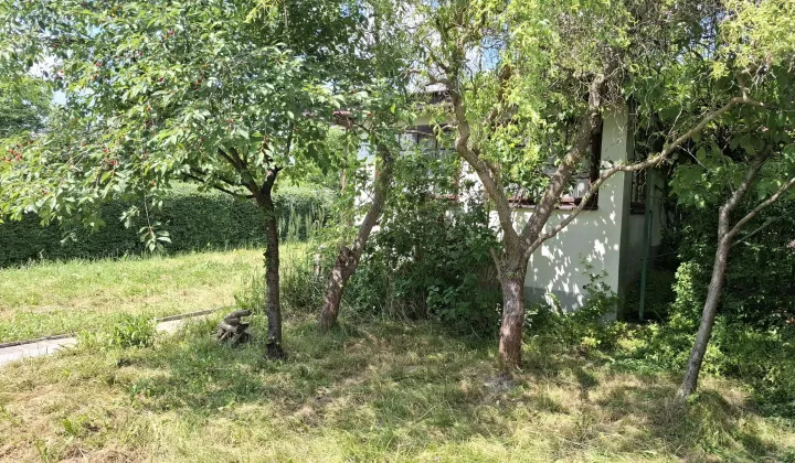 Działka rod Kielce Barwinek, ul. ks. Piotra Ściegiennego