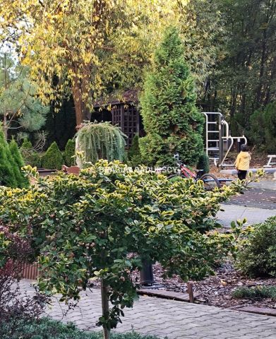 Mieszkanie 2-pokojowe Kraków Łagiewniki-Borek Fałęcki, ul. Zdunów. Zdjęcie 17