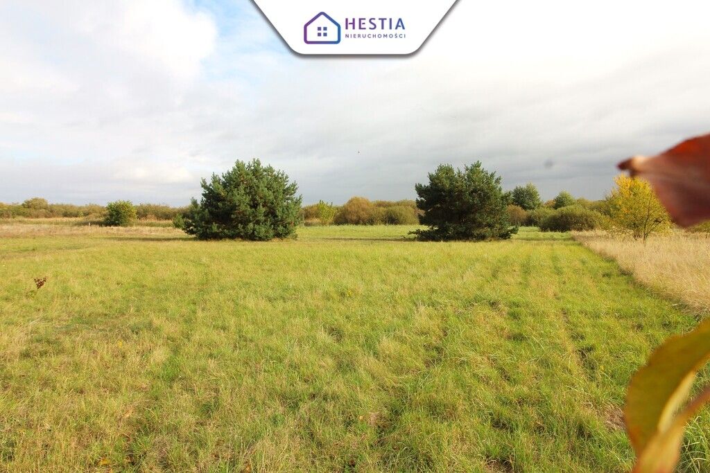 Działka rolna Jęczydół. Zdjęcie 5