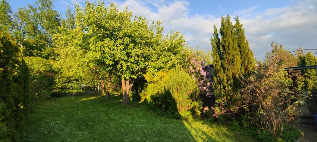 Działka rod Ostróda, ul. 21 Stycznia. Zdjęcie 4