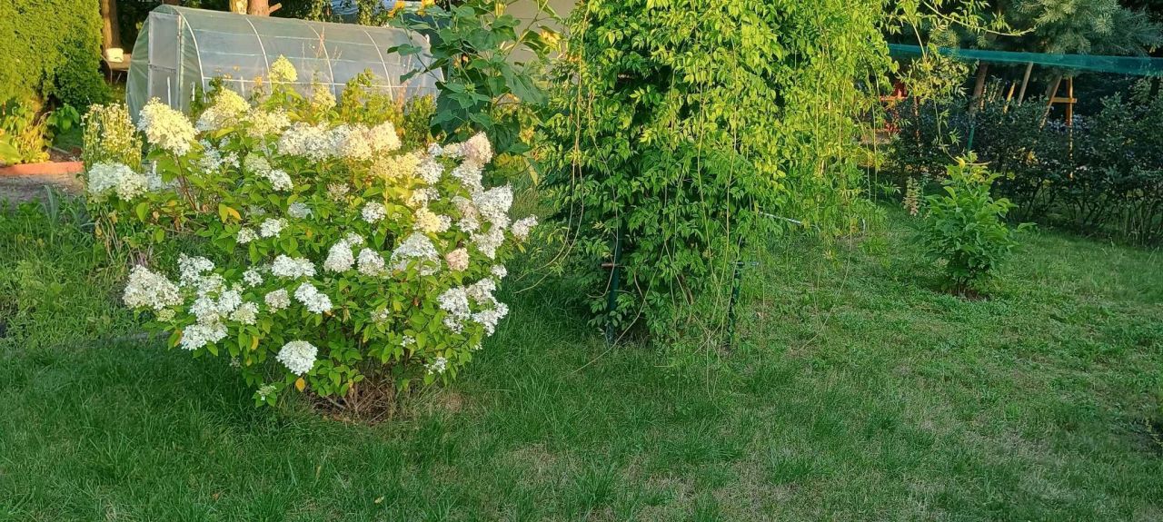 Działka rod Łódź Olechów. Zdjęcie 4