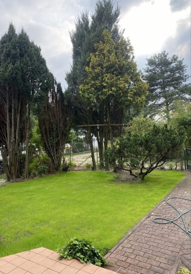 Działka rod Koziegłowy. Zdjęcie 3