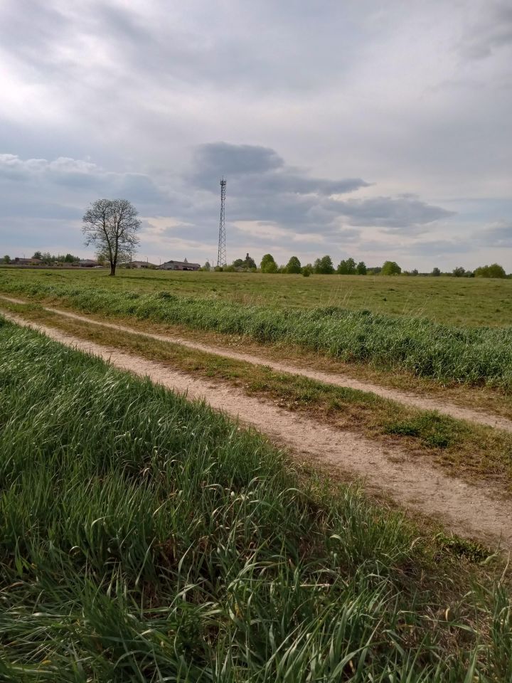 Działka budowlana Ploski. Zdjęcie 13