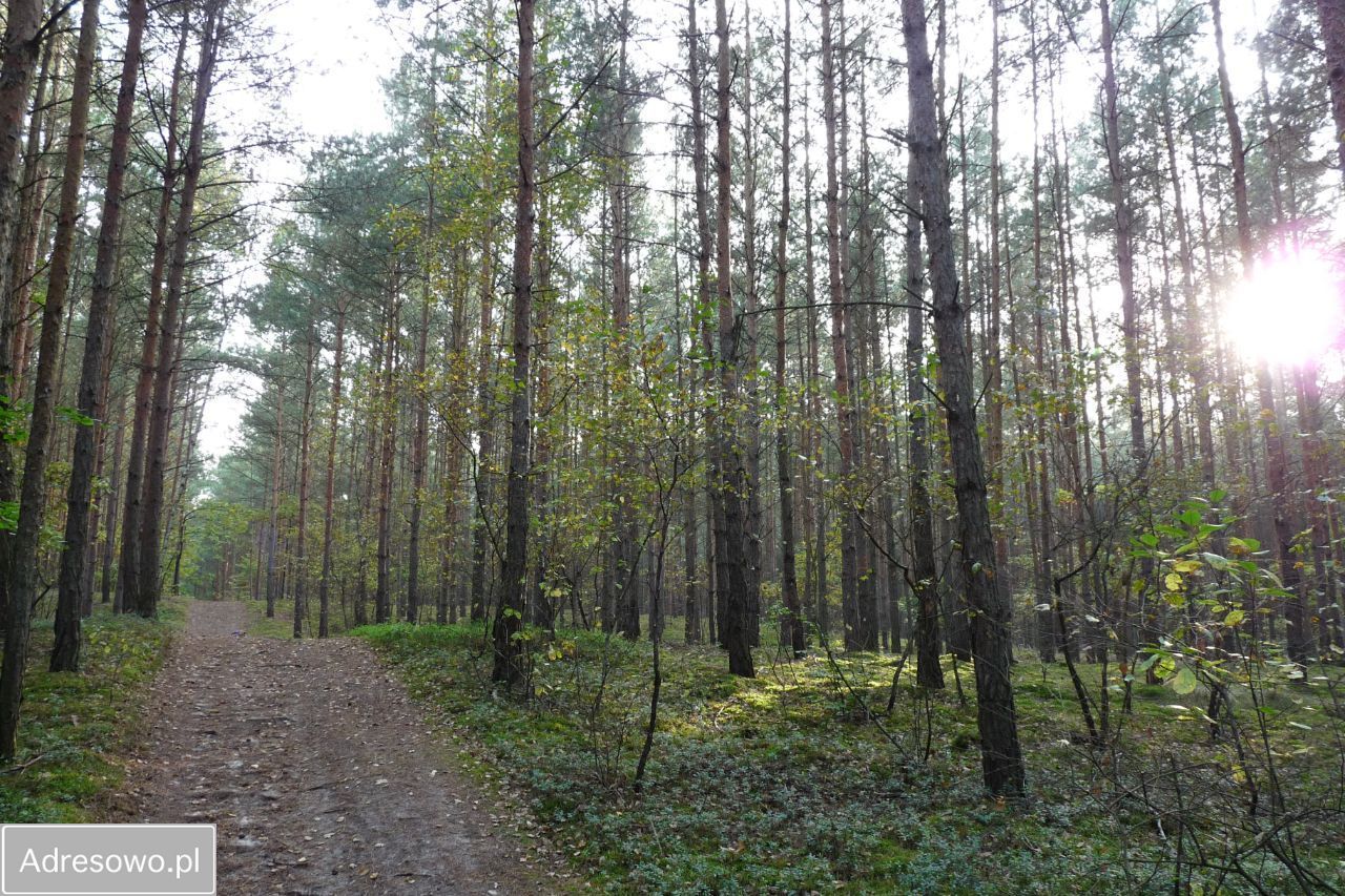 Działka budowlana Radziwiłłów. Zdjęcie 17
