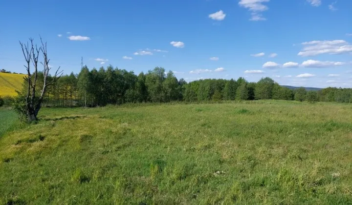 Działka rolna Chrząstówka