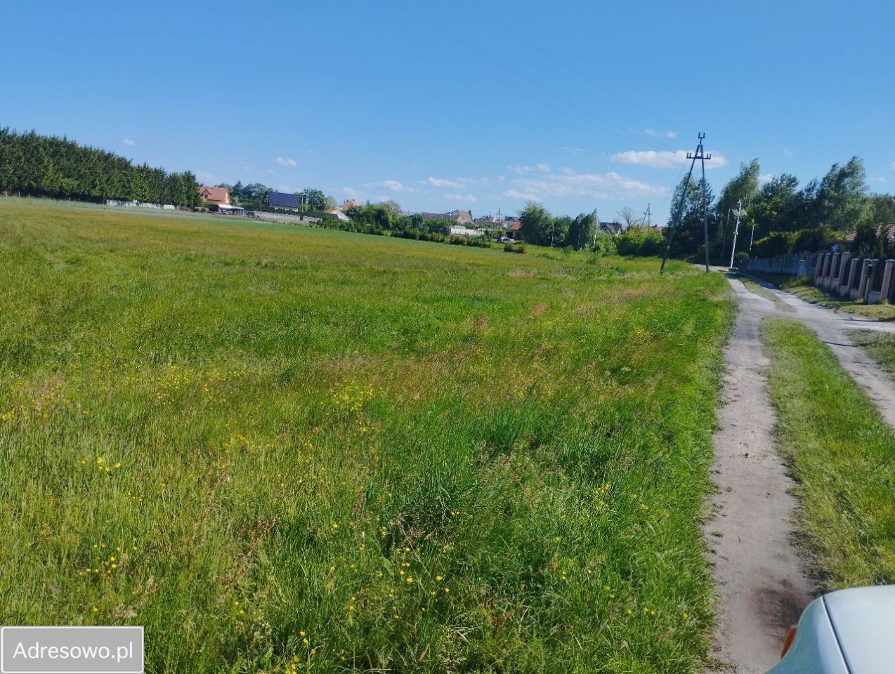 Działka rolno-budowlana Nowogród Bobrzański. Zdjęcie 8