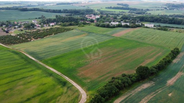 Działka rolna Sędzice. Zdjęcie 6