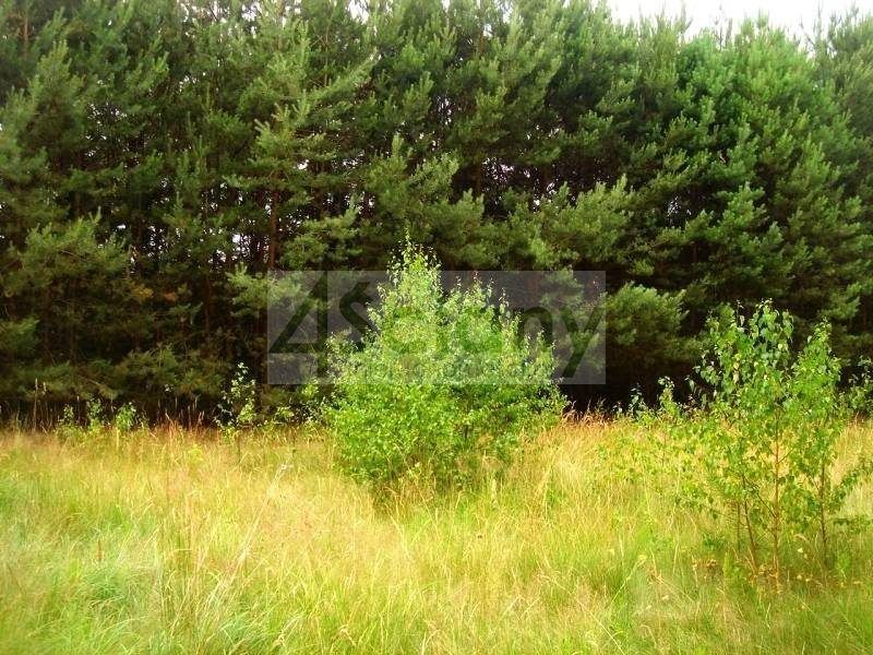 Działka budowlana Łępice. Zdjęcie 5