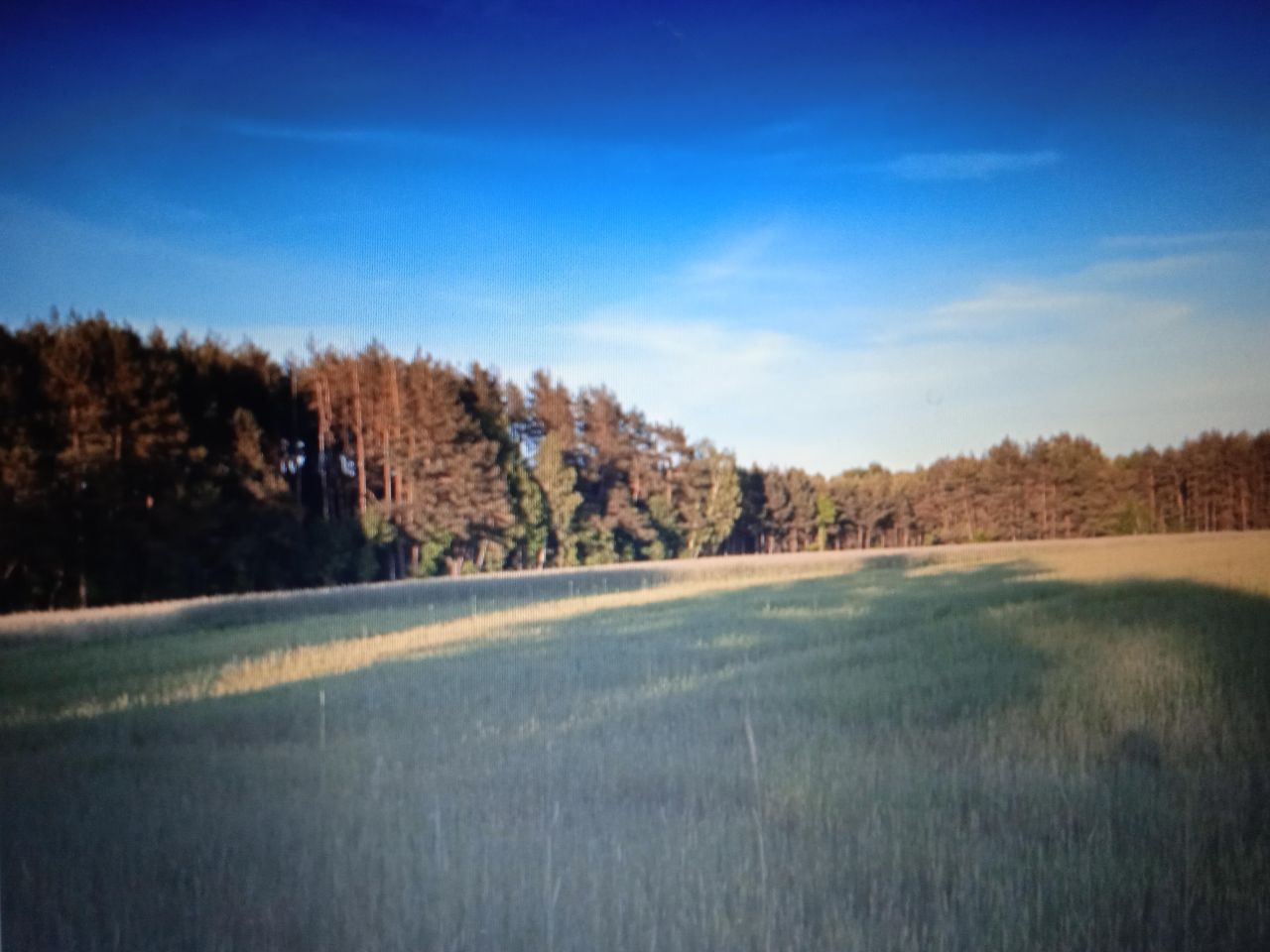 Działka siedliskowa Choroszczewo