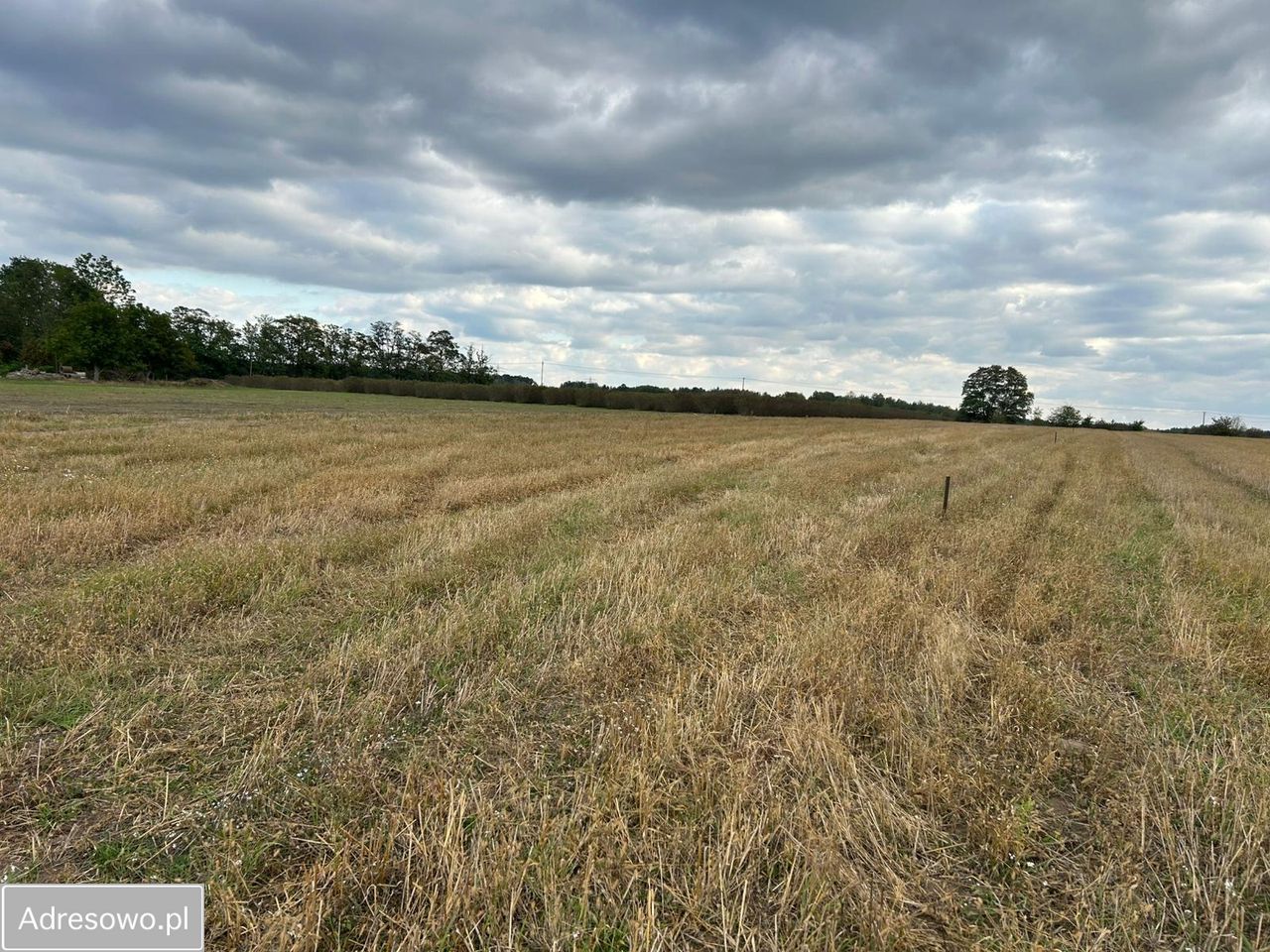 Działka budowlana Prażmów. Zdjęcie 9